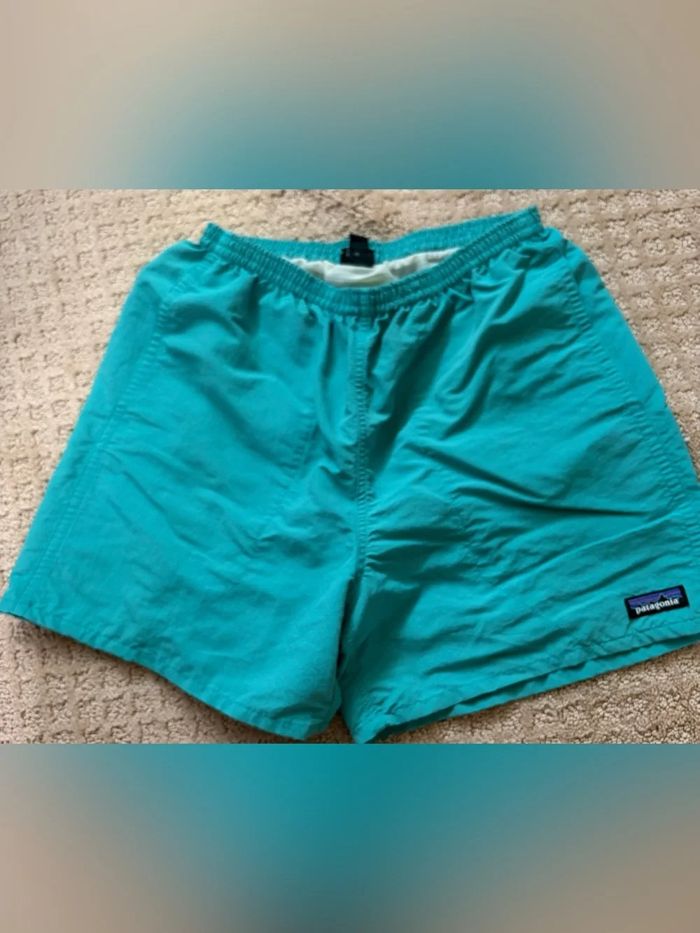 Patagonia Men's Aqua Baggies shorts